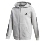 Veste zipp�e � capuche gris