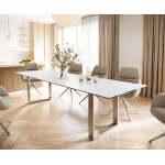 Table - à - manger edge 300x100 céramique laminamâ® statuarietto blanc inox étroit Table - à - manger edge 300x100 céramique laminamâ® statuarietto blanc inox étroit