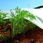 1, 1m x 5m non tiss� couverture v�g�tale protection contre le gel de la plante tissu des moustiquaires ...