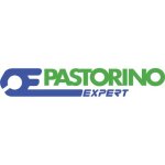 1 x cle a douille 1 / 2f mm 11 30n pastorino