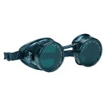 1 x lunettes de protection 10964. 5 vertes