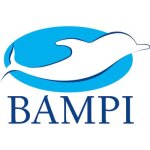 1 x mm 20x2 mt 100 tuyau multicouche nu bampi