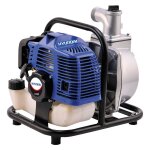 1 x motopompe auto - amorcante ldwp520 hp 2. 0 - cc 52
