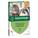 1 x pegistor avantage spot - on 4 kg - 4 pipettes 0, 8 ml