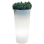 1 x vase solaire ficus rond d 29x60 rgb avec