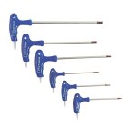 Clé Torx Inviolable Longue Acier Chrome Vanadium Professionnel T20