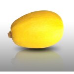 10 graines a semer - le grenier d'abondance - courge spaghetti vegetal - cucurbita pepo 10 graines a semer - le grenier d'abondance - courge spaghetti vegetal - cucurbita pepo