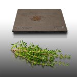 100 graines aromatiques a semer - le grenier d'abondance - thym serpolet - thymus serpylum