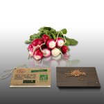 100 graines bio a semer - le grenier d'abondance - radis rond national 2 - certifié ab - raphanus sativus ... 100 graines bio a semer - le grenier d'abondance - radis rond national 2 - certifié ab - raphanus sativus ...