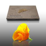 100 graines fleurs a semer - le grenier d'abondance - eschscholtzia - pavot californien