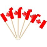 100pcs drapeau cure - dent canada, pic drapeaux canadien pour topper de coupe, cure dent drapeau canada ...