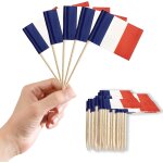 100pcs drapeau cure - dent france pour décorer les gâteaux, décor cupcake toppers cocktail pour concerts ... 100pcs drapeau cure - dent france pour décorer les gâteaux, décor cupcake toppers cocktail pour concerts ...