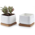 10cm pot de succulent en c�ramique avec plateau en bambou blanc lot de 2, cactus plante planteur cache ...