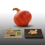12 graines bio a semer - le grenier d'abondance - courge potimarron - certifi� ab - cucurbita maxima