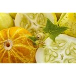 12 graines de concombre citron