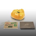 15 graines a semer - le grenier d'abondance - tomate ananas bio - certifi ab - solanum lycopersicum