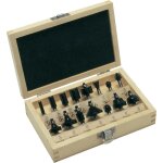 15 pcs coffret de fraises au carbure (queue 1 / 4 ) bosch 2607019468