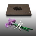 150 graines aromatiques a semer - le grenier d'abondance - ciboulette - allium schoenoprasum