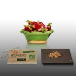 150 graines bio a semer - le grenier d'abondance - radis long de 18 jours - certifié ab - raphanus sativus ... 150 graines bio a semer - le grenier d'abondance - radis long de 18 jours - certifié ab - raphanus sativus ...