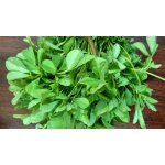 150 graines de fenugrec