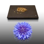150 graines fleurs a semer - le grenier d'abondance - centauree barbeau - centaurea