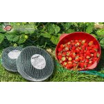 2 filets de protection contre les oiseaux, 8 m x 8 m, filet pour arbres fruitiers, filet pour l�gumes ...