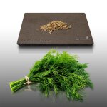 200 graines aromatiques a semer - le grenier d'abondance - aneth - anethum graveolens