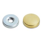 200 xgoujon cache - vis laiton poli 18 mm *