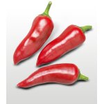 25 graines a semer - le grenier d'abondance - piment gorria - capsicum annuum 25 graines a semer - le grenier d'abondance - piment gorria - capsicum annuum