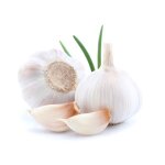 250 graines d ail blanc