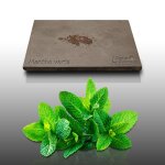 250 graines aromatiques a semer - le grenier d'abondance - menthe verte - mentha viridis