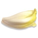 250 graines a semer - le grenier d'abondance - chicoree endive zoom hybride f1 - cichorium