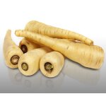 250 graines a semer - le grenier d'abondance - panais - pastinaca sativa 250 graines a semer - le grenier d'abondance - panais - pastinaca sativa