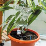 2pcs plant life support, systme d'arrosage automatique, plant watering devices, systme d'irrigation ...