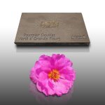 300 graines de fleurs a semer - le grenier d'abondance - pourpier double - portulaca grandiflora