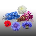 300 graines de fleurs a semer - le grenier d'abondance - prairie de fleurs - en m�lange