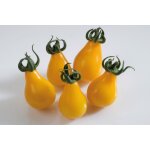 35 graines de tomate cerise poire jaune