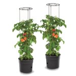 3x plant de tomates en jardini�re plastique 28 l lot de 3 planteur de tomates pot a tomates cache pot ...