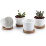 4 pcs pot de succulent en c�ramique blanc rond 5 cm avec plateau en bambou, cactus planteur, pot jardini�re ...