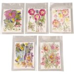 5 bags dried flowers, pressed flowers, dried pressed flowers, pressed flowers for crafts, dried flowers ...