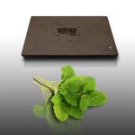 50 graines aromatiques a semer - le grenier d'abondance - melisse officinale - melissa officinalis