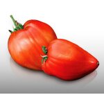 50 graines a semer - le grenier d'abondance - tomate coeur de boeuf - charnue 250 gr et +