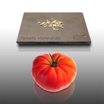 50 graines a semer - le grenier d'abondance - tomate marmande - charnue 150 gr 50 graines a semer - le grenier d'abondance - tomate marmande - charnue 150 gr