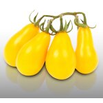 50 graines a semer - le grenier d'abondance - tomate poire jaune yellow pearshaped - cocktail ap�ritif ...