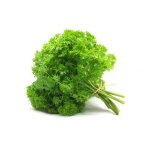 500 graines de persil frisé 500 graines de persil frisé