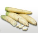 500 graines a semer - le grenier d'abondance - carotte blanche a collet vert - daucus carota