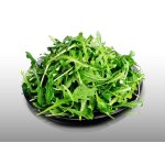 500 graines a semer - le grenier d'abondance - roquette - eruca sativa