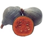 6 graines bio a semer - le grenier d'abondance - courge blue ballet - certifié ab - curcurbita maxima ... 6 graines bio a semer - le grenier d'abondance - courge blue ballet - certifié ab - curcurbita maxima ...