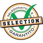 6 x zama or poli mm 55x45 s. max mm 20 porte - verre avec pince soleil