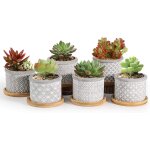 6cm pot de fleur, succulent pots de plantes avec plateau bambou lot de 6, mini moderne concrete cactus ... 6cm pot de fleur, succulent pots de plantes avec plateau bambou lot de 6, mini moderne concrete cactus ...